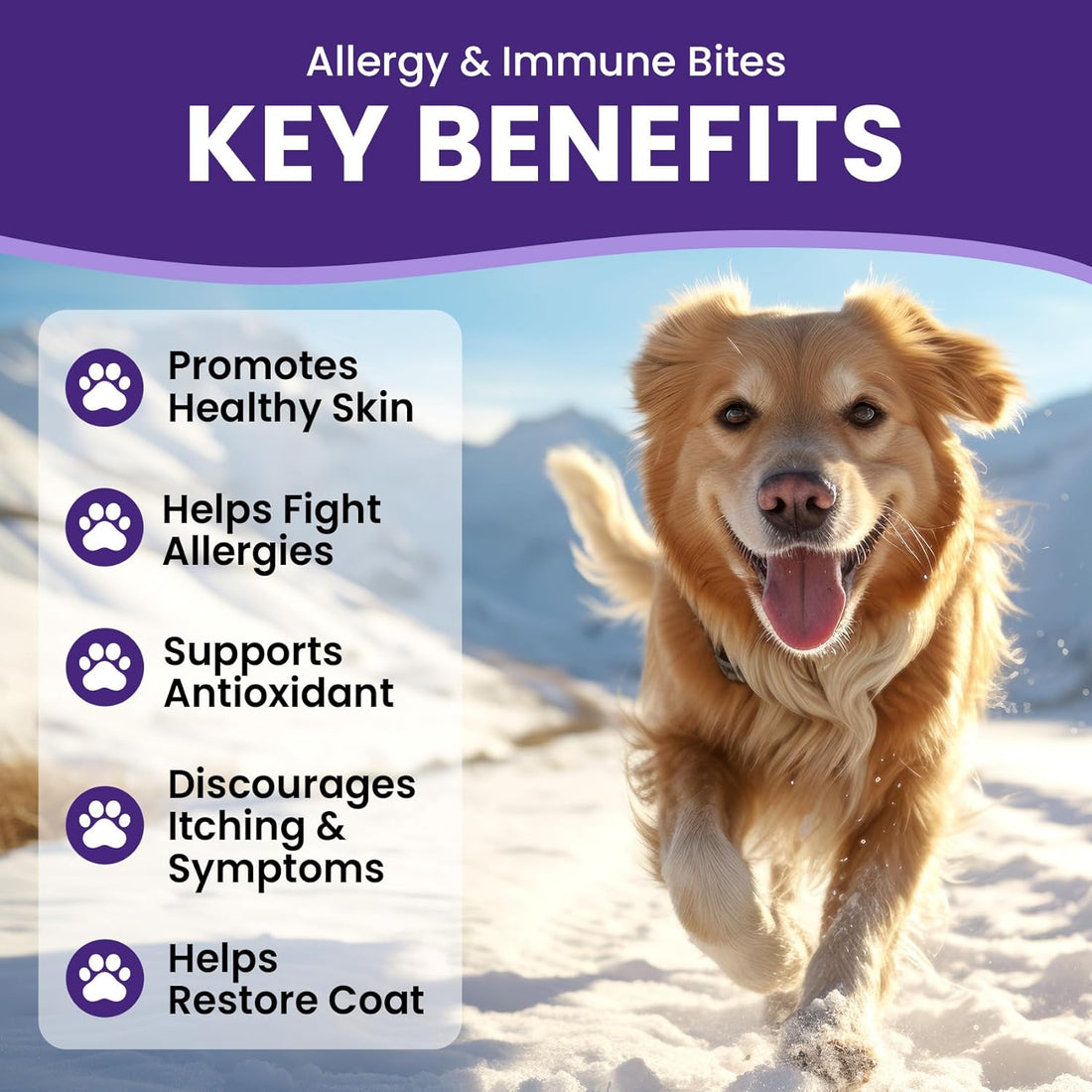 Dog Allergy Skin Relief Chews – 180ct